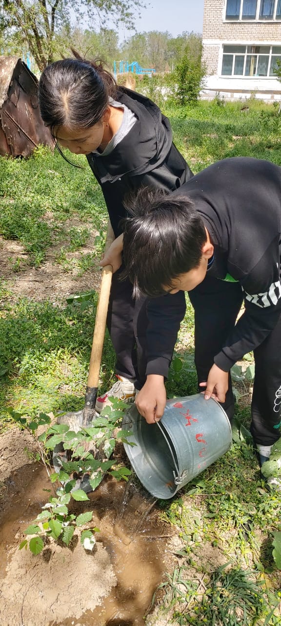 Жасыл желек